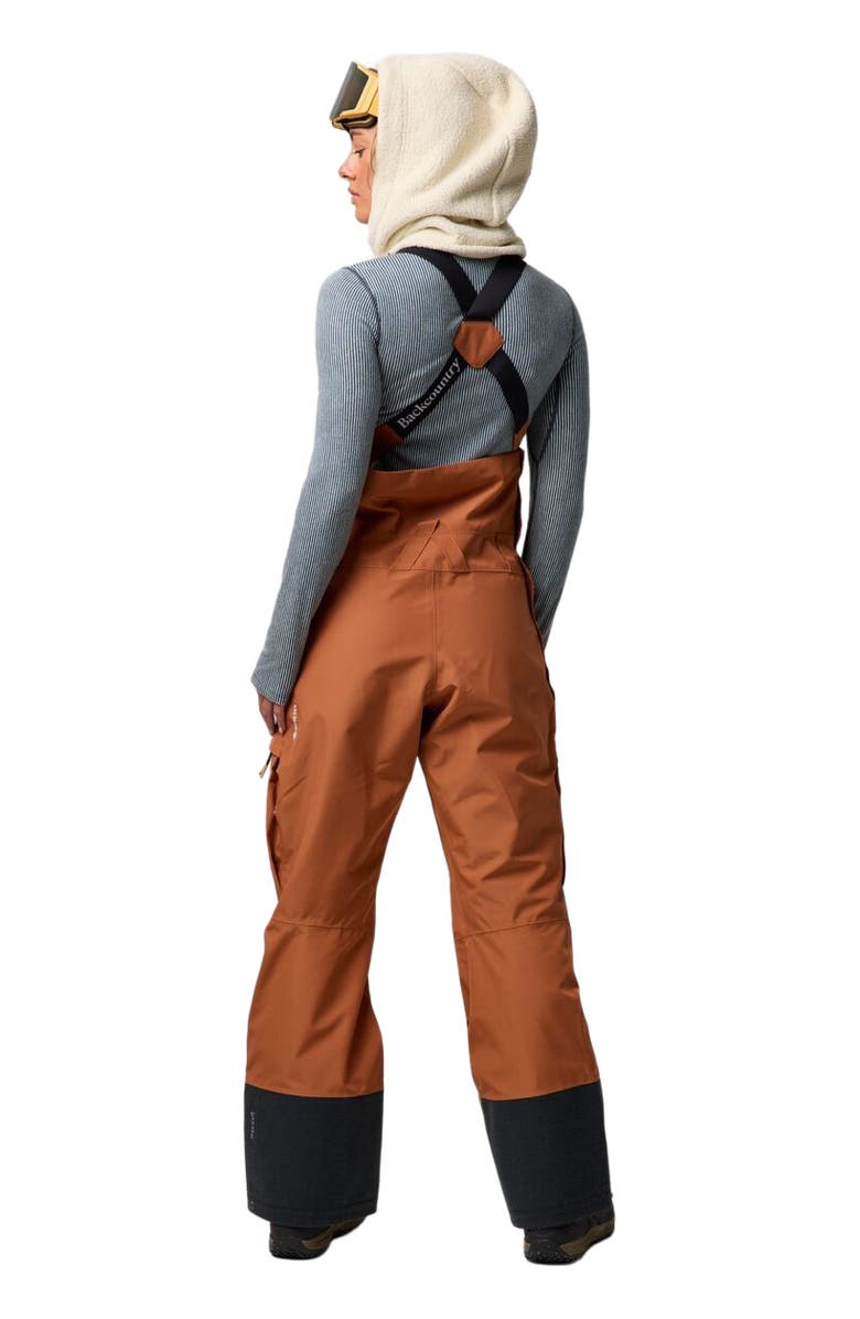 Backcountry Cottonwoods Gore-Tex Shell Bib Pant - Women's, Alternate, color, Sierra