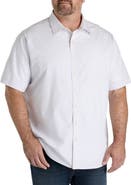Synrgy by DXL Big & Tall Dotted Striped Sport Shirt