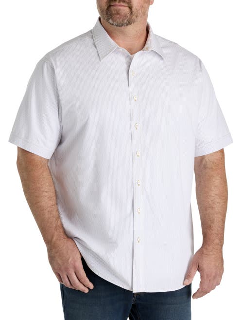 Synrgy by DXL Big & Tall Dotted Striped Sport Shirt in White  product
