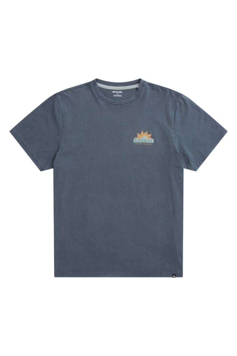 Chase Sun Relaxed Fit T-Shirt, Main, color, Navy