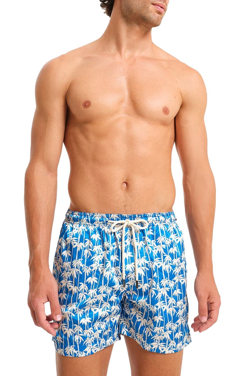 Peninsula Swimwear Panama Swim Shorts, Main, color, Multicolor