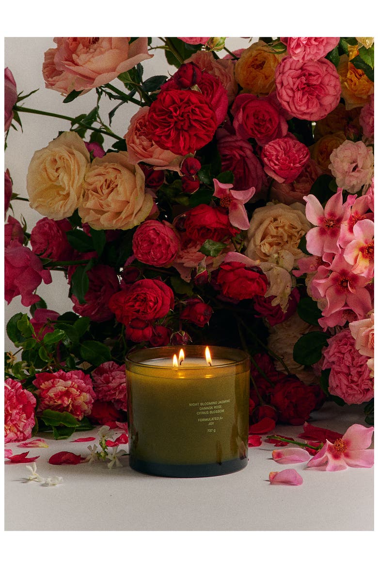 Night Blooming Jasmine & Damask Rose XL Candle, Alternate, color, GREEN
