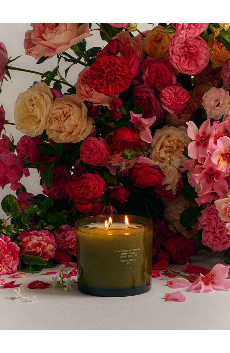 FLAMINGO ESTATE Night Blooming Jasmine & Damask Rose XL Candle, Alternate, color, 
