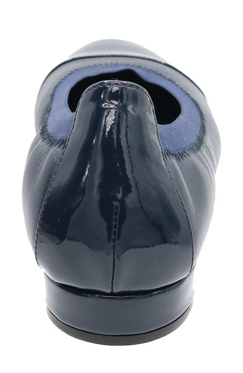 David Tate Nicole Cap Toe Flat In Multi