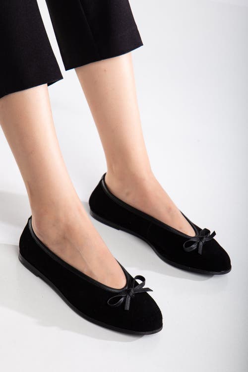 Forever & Always Shoes Freya Leather Ballerina Flats In Black Suede Leather