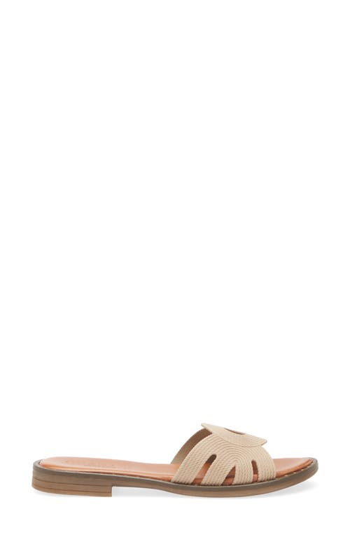 Cordani Slide Sandal Fiorella In Sand Suede Aren