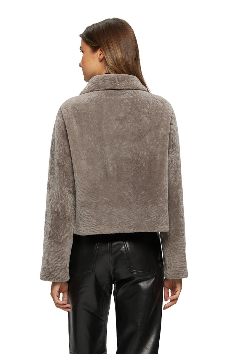 GORSKI Textured Genuine Shearling Short Jacket, Alternate, color,
