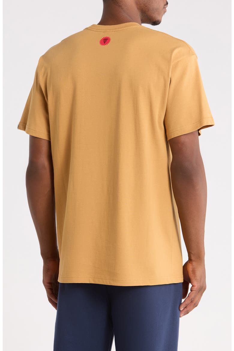 Stop Light Graphic T-Shirt, Alternate, color, APPLE CINNAMON