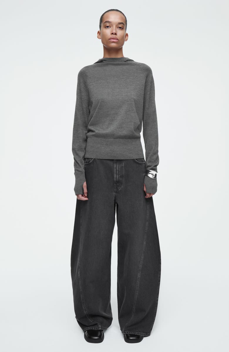 COS Merino Wool Sweater Hoodie, Alternate, color,