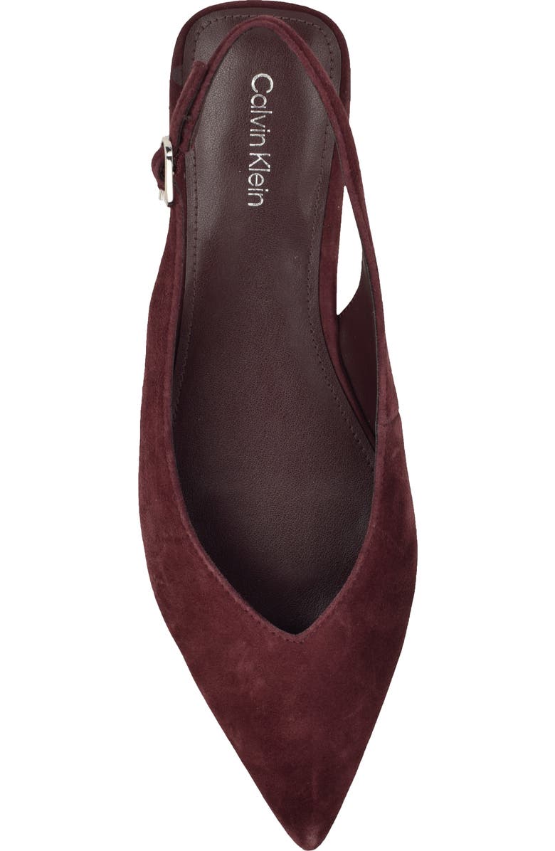 Calvin Klein Galiana Slingback Pointed Toe Flat, Alternate, color, Dark Red