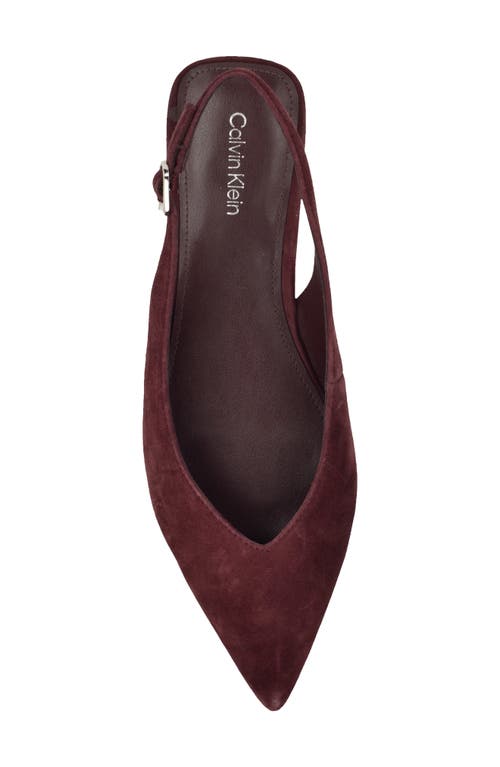 Calvin Klein Galiana Slingback Pointed Toe Flat