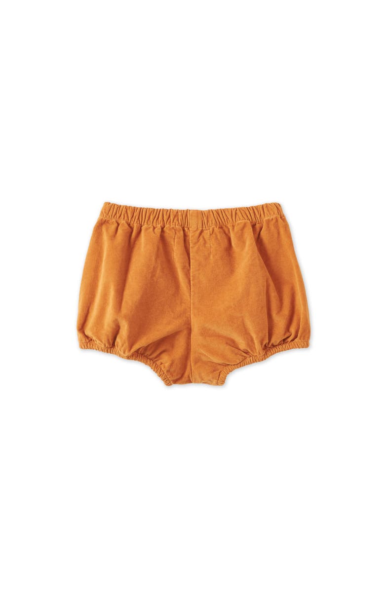 Vild House of Little Organic Cotton Velvet Bloomers, Alternate, color, Raw Sienna