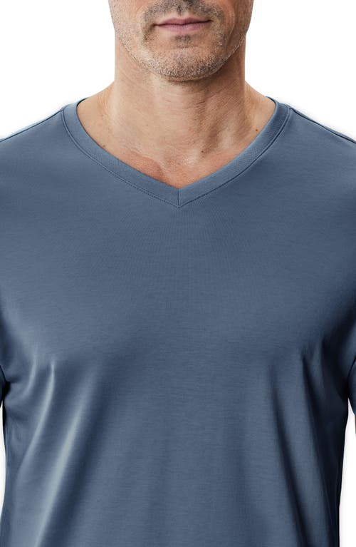 ROBERT BARAKETT ROBERT BARAKETT GEORGIA REGULAR FIT V-NECK T-SHIRT