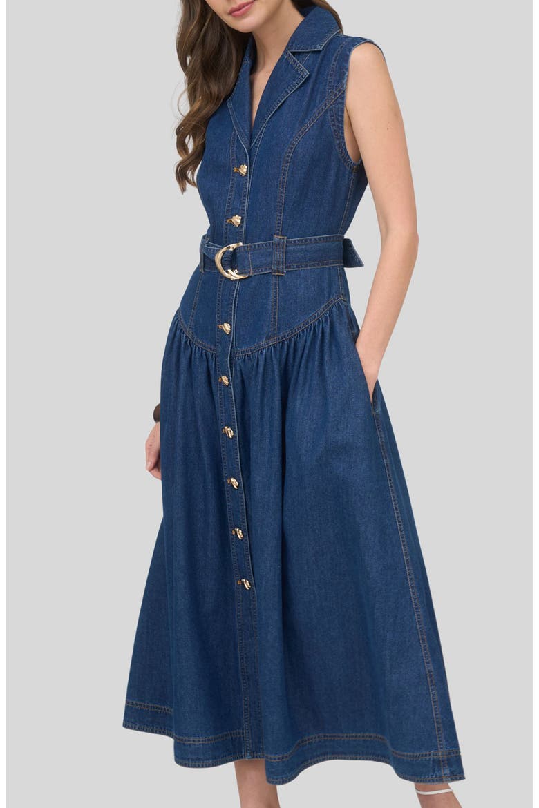 Belted Sleeveless Denim Maxi Dress, Alternate, color, DENIM