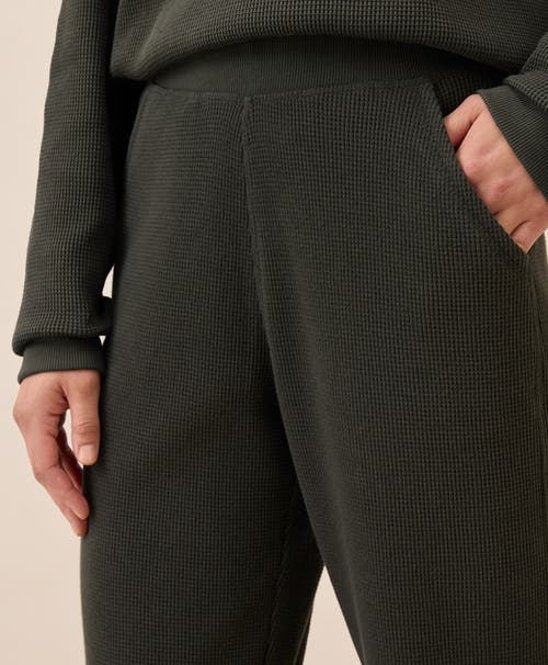 Pact Thermal Waffle Wide Leg Pant In Green