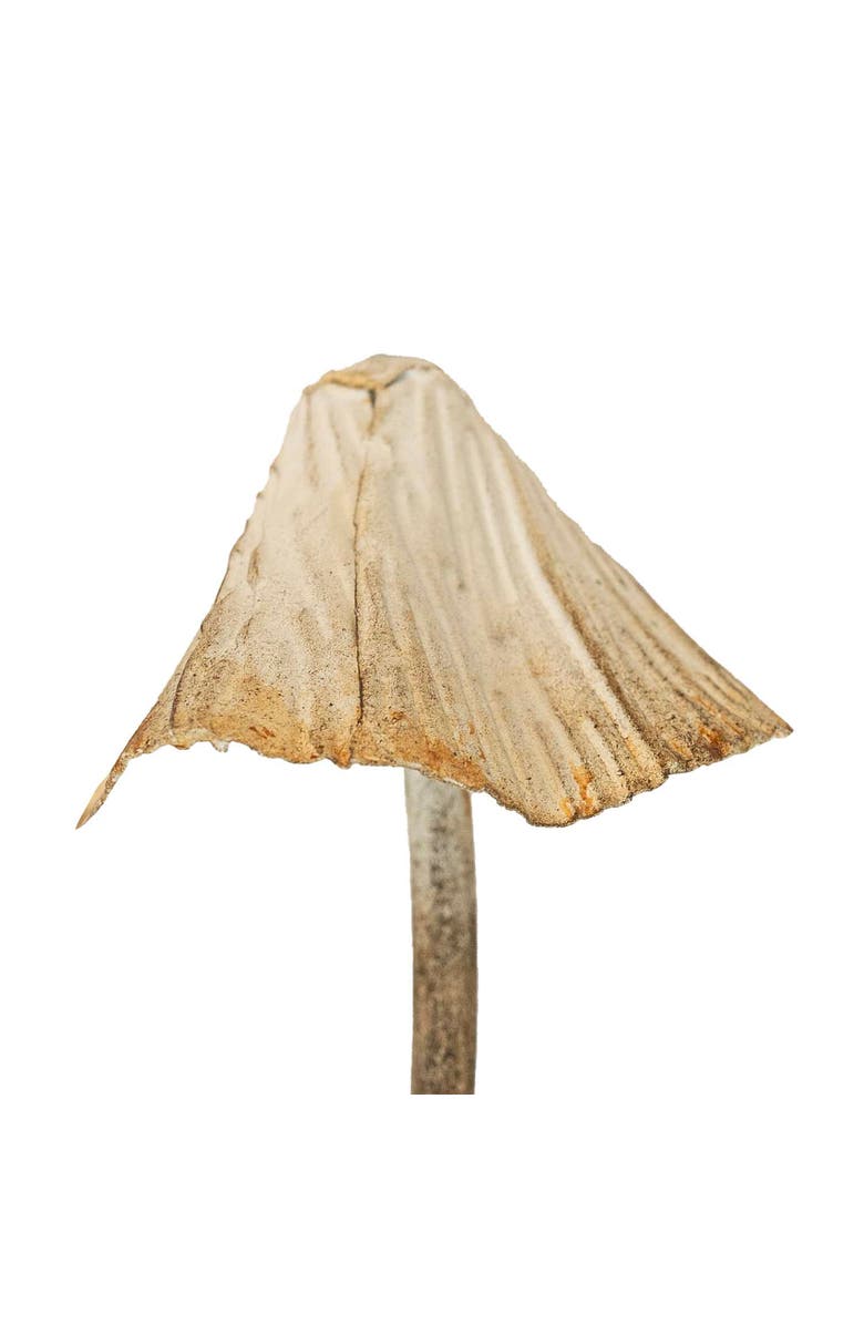 Foreside Home and Garden Set of 3 Mushroom Stem Plant Stakes White Metal, Alternate, color, White