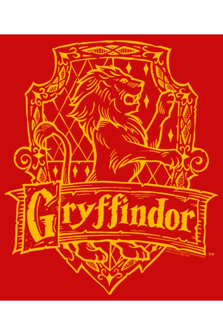 Boy's Harry Potter Gryffindor Line Art Crest  Graphic T-Shirt, Alternate, color, Red
