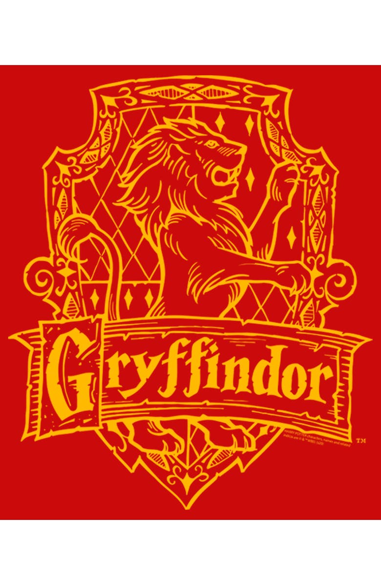 HARRY POTTER Boy's Harry Potter Gryffindor Line Art Crest  Graphic T-Shirt, Alternate, color, Red