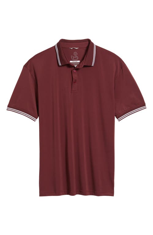 Swannies Thatcher Tipped Performance Polo In Burgundy