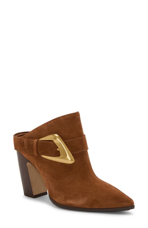 Vince Camuto Bailey Pointed Toe Mule