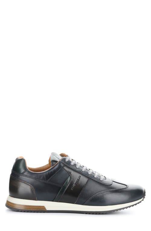 Ambitious 11721 Low Top Sneaker In Black