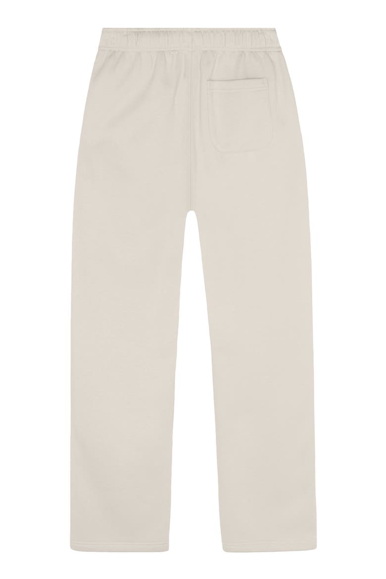Astronaut Midweight Fleece Relaxed Track Pants, Alternate, color, Bone