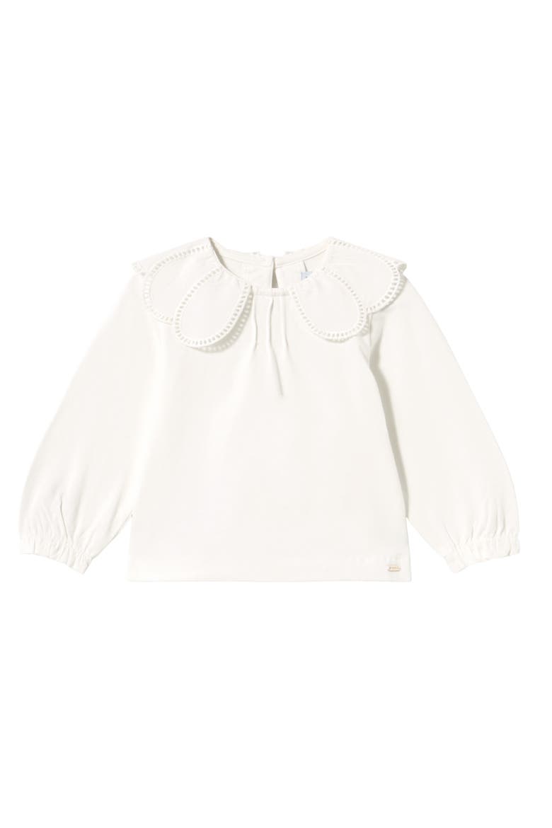 Scalloped Collar T-Shirt, Main, color, White