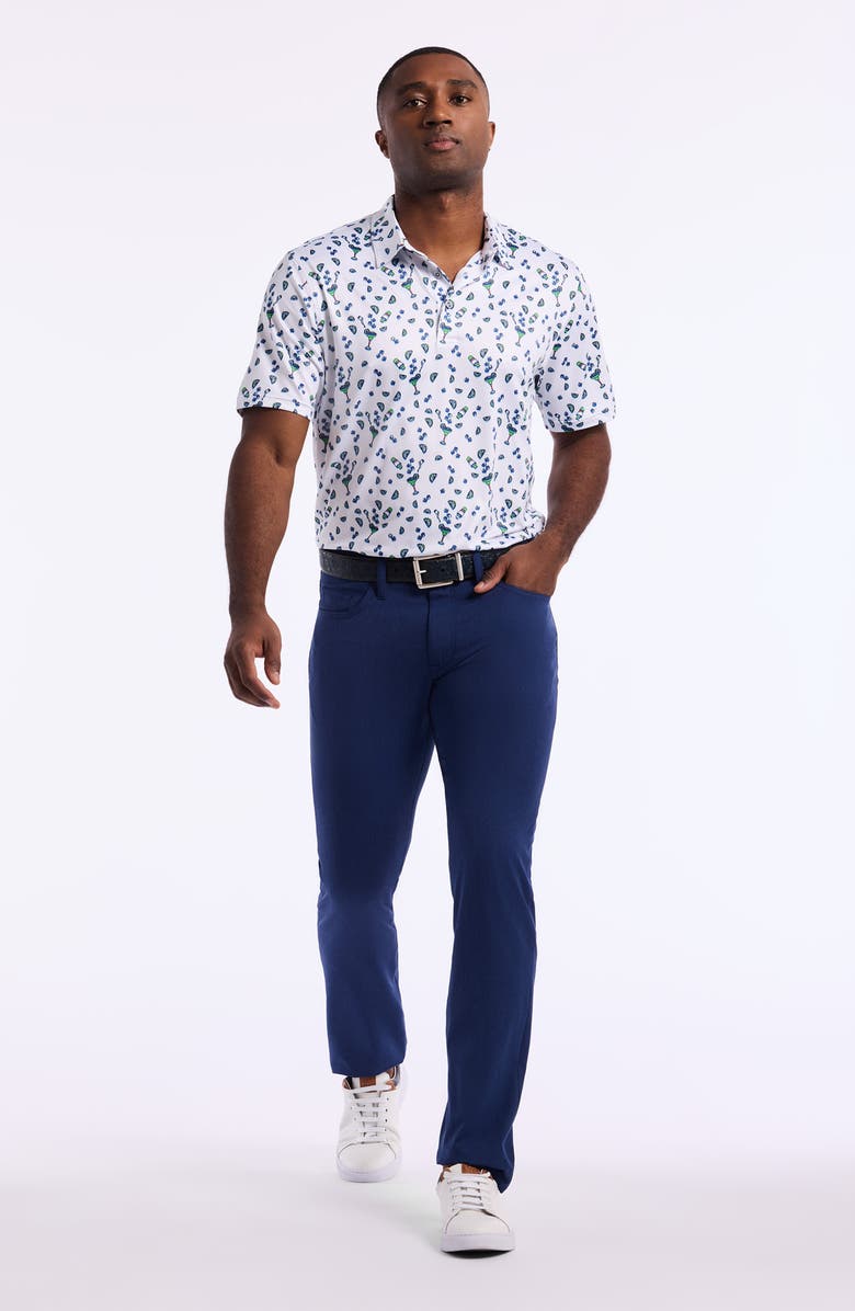 Robert Graham Drink Up Knit Polo, Alternate, color,