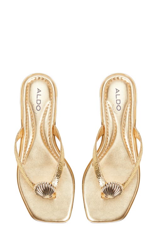 Aldo Conchiglia Flip Flop In Gold