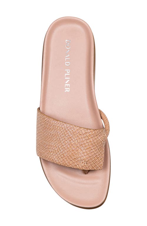 Donald Pliner Fifi Platform Wedge Flip Flop In Rosette