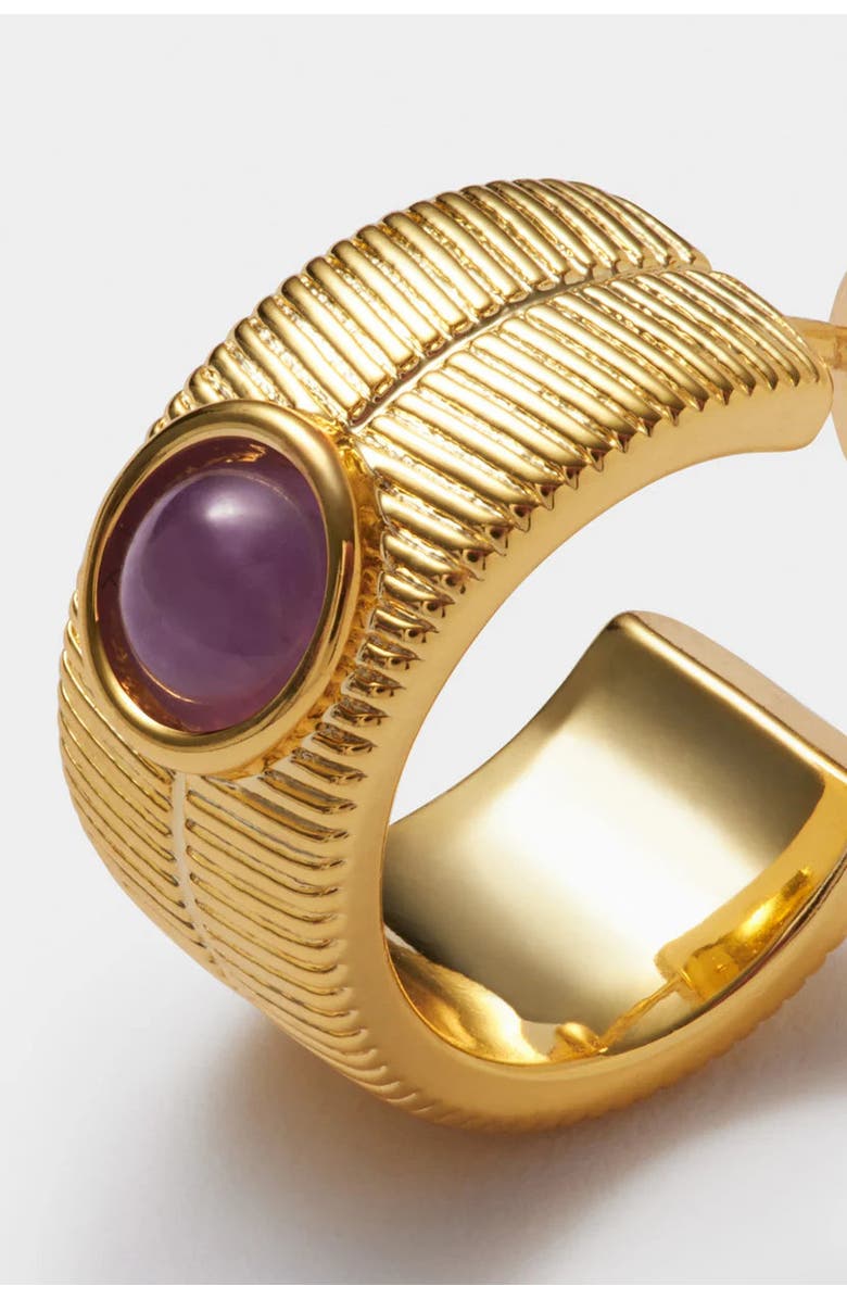 Katie Loxton 'February' Waterproof Gold Birthstone Hoop Earrings, Alternate, color, February