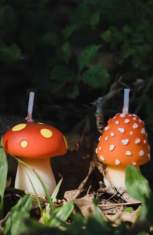 Southlake Gifts Mini Mushroom Candle Set In Red/orange