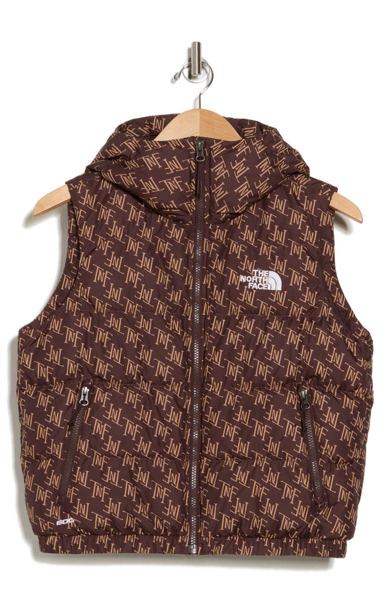 The North Face Hydrenalite<sup>™</sup> Water Repellent 600 Fill Power Down Vest, Alternate, color,