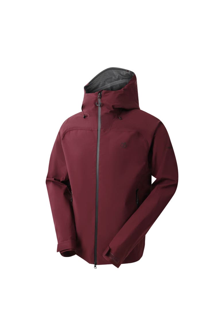 Roving Iii Waterproof Ski Jacket, Alternate, color, Fig