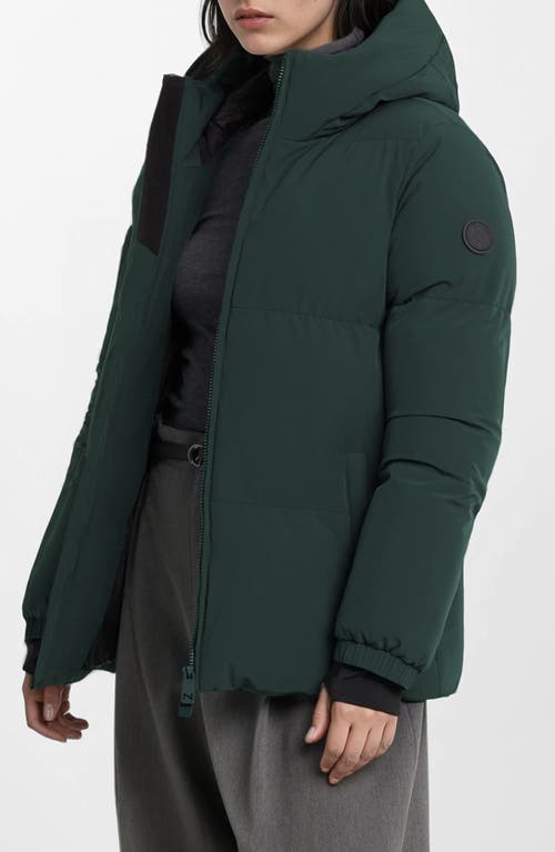 Noize Stacy Water Resistant Hooded Puffer Jacket In Green