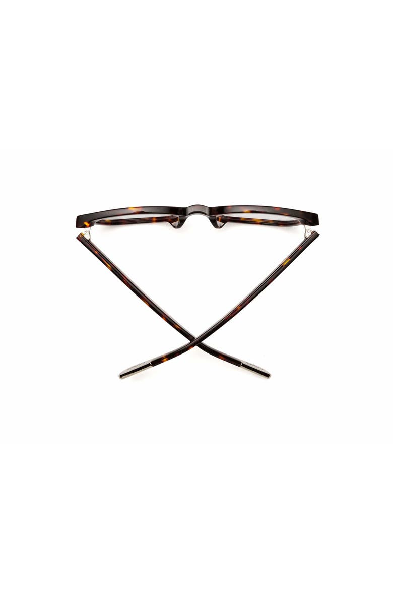 Jockamo | Polarized Sunglasses, Alternate, color, Turtle - Polarized Bronze