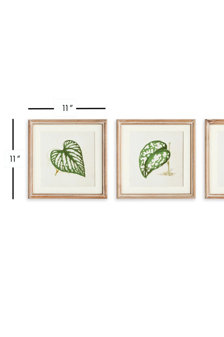 Leaf Cuttings Petite Prints Set of 3, Alternate, color, Green