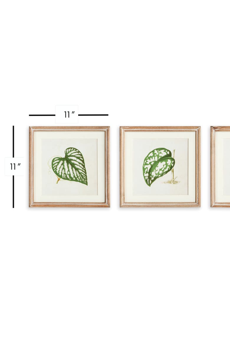 Napa Home & Garden Leaf Cuttings Petite Prints Set of 3, Alternate, color, Green