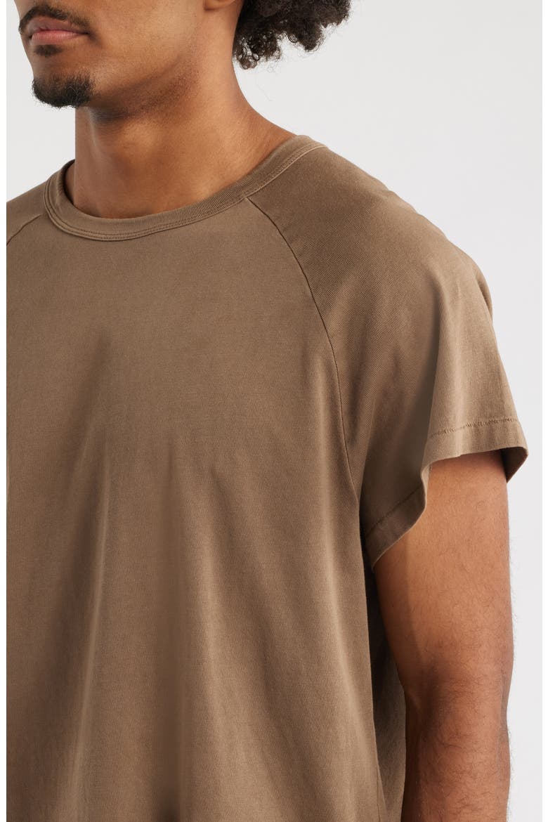 Raglan Sleeve T-Shirt, Alternate, color, BROWN