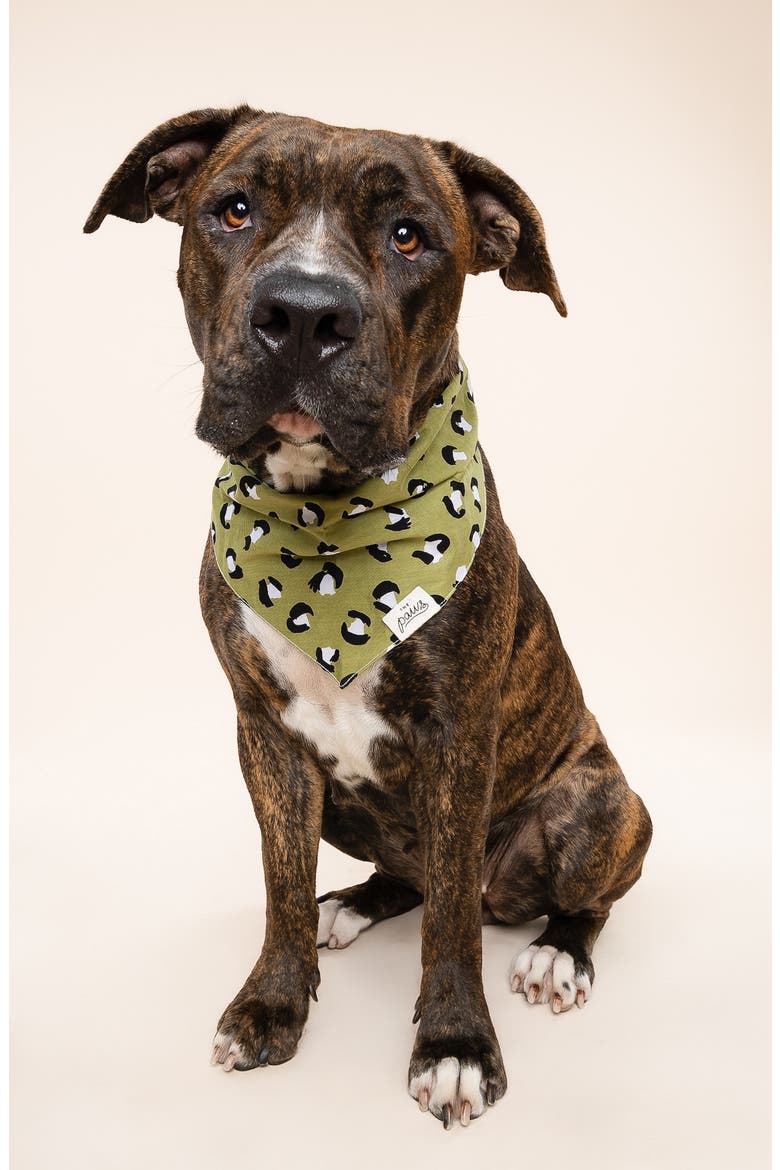 Olive Dog Bandana, Alternate, color, GREEN
