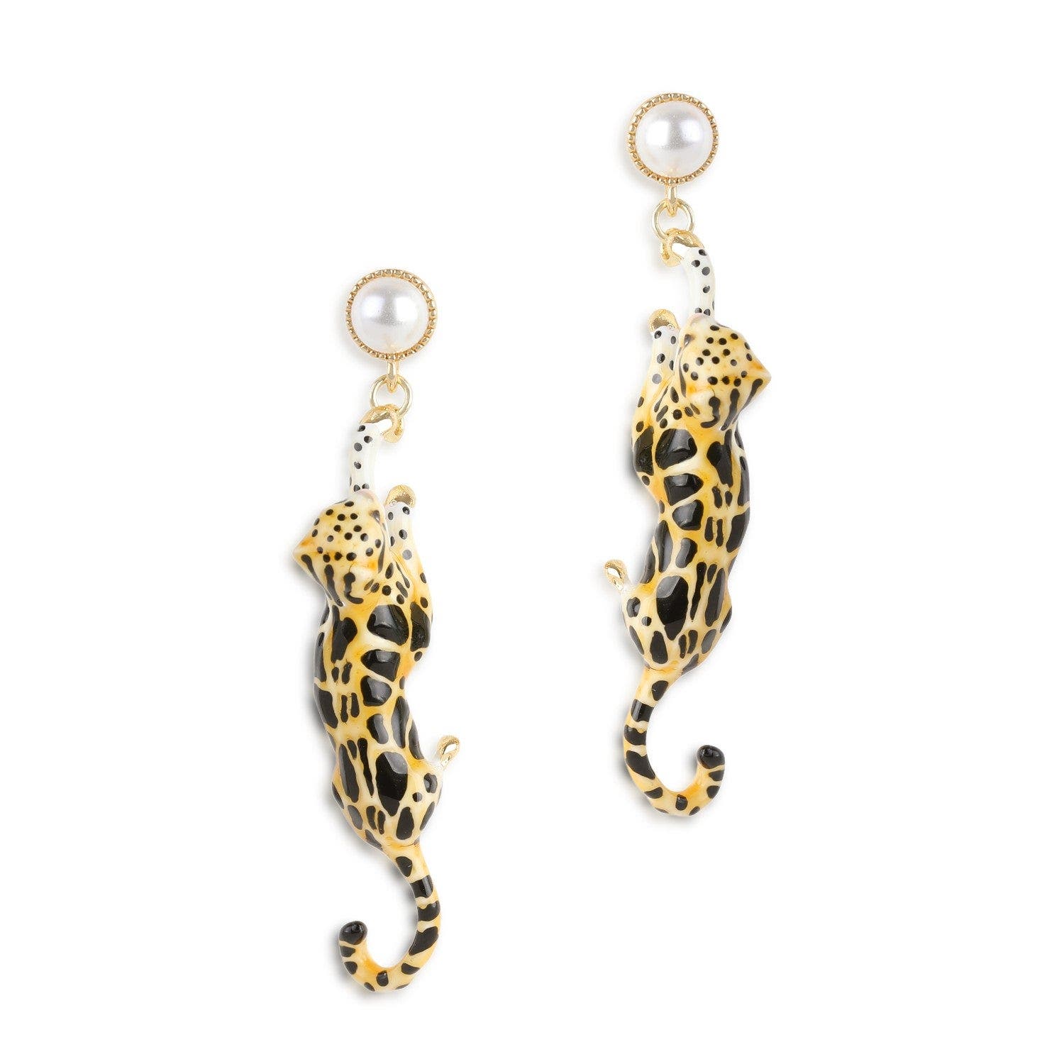selected Leopard