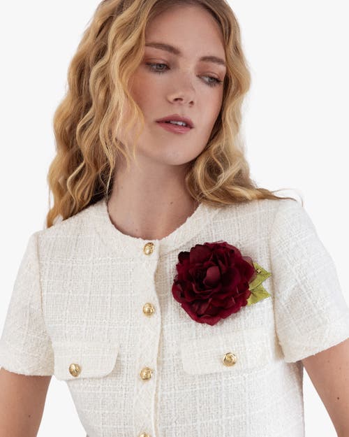 Helena Simon The Small Red Rose In Red