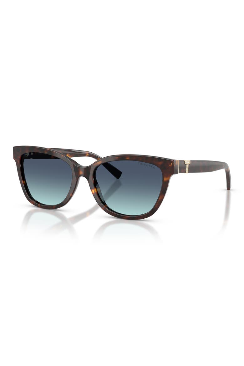 55mm Gradient Cat Eye Sunglasses, Alternate, color, HAVANA / AZURE GRADIENT BLUE