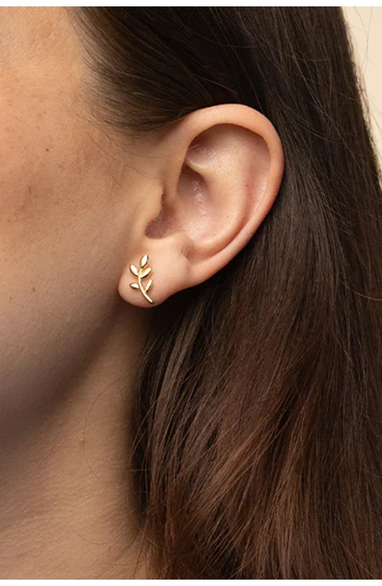 Bearfruit Jewelry Sterling Silver 18k Gold Plated Olivia Leaf Necklace & Stud Earrings Set, Main, color, Gold