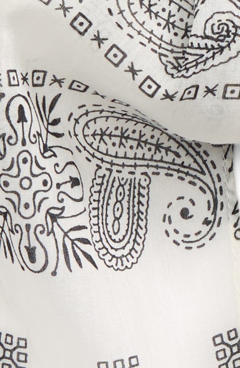 Madewell Organic Cotton Long Skinny Bandana, Alternate, color, 