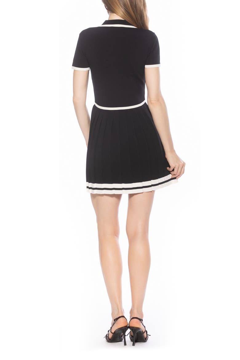 Jasmine Pleated Dress, Alternate, color, BLACK/ WHITE