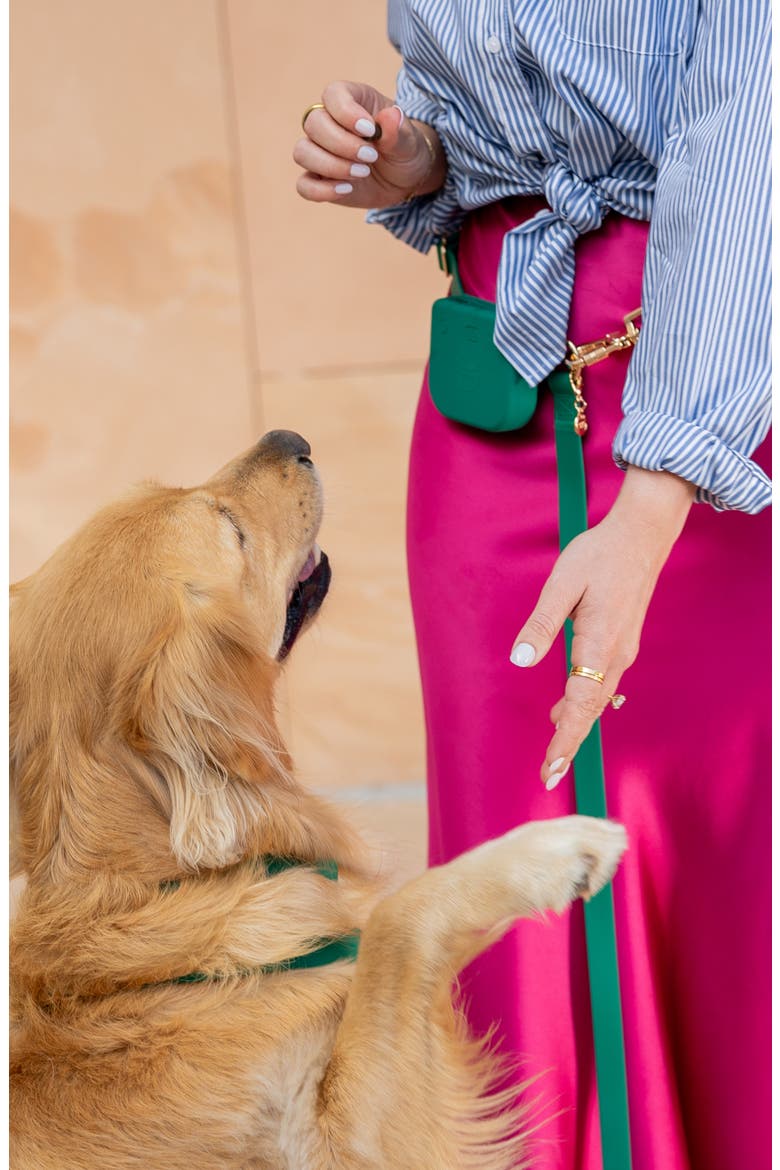 Dog Treat Pouch, Alternate, color, MEADOW GREEN