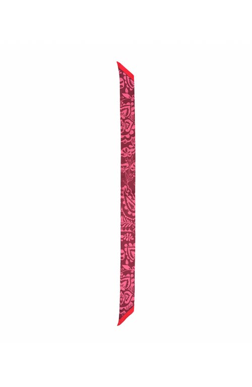 Echo Park Paisley Ribbon Scarf In Pink