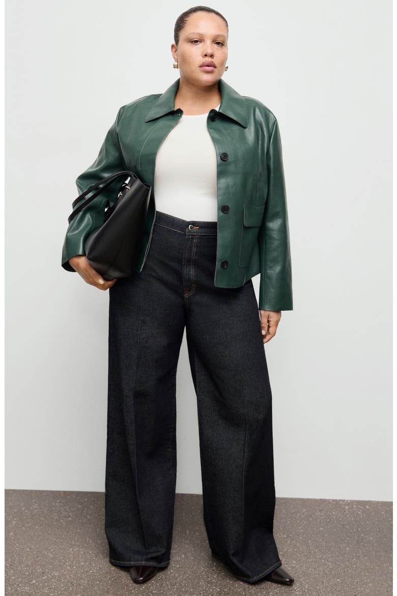 Sabina Faux Leather Jacket, Alternate, color, GREEN
