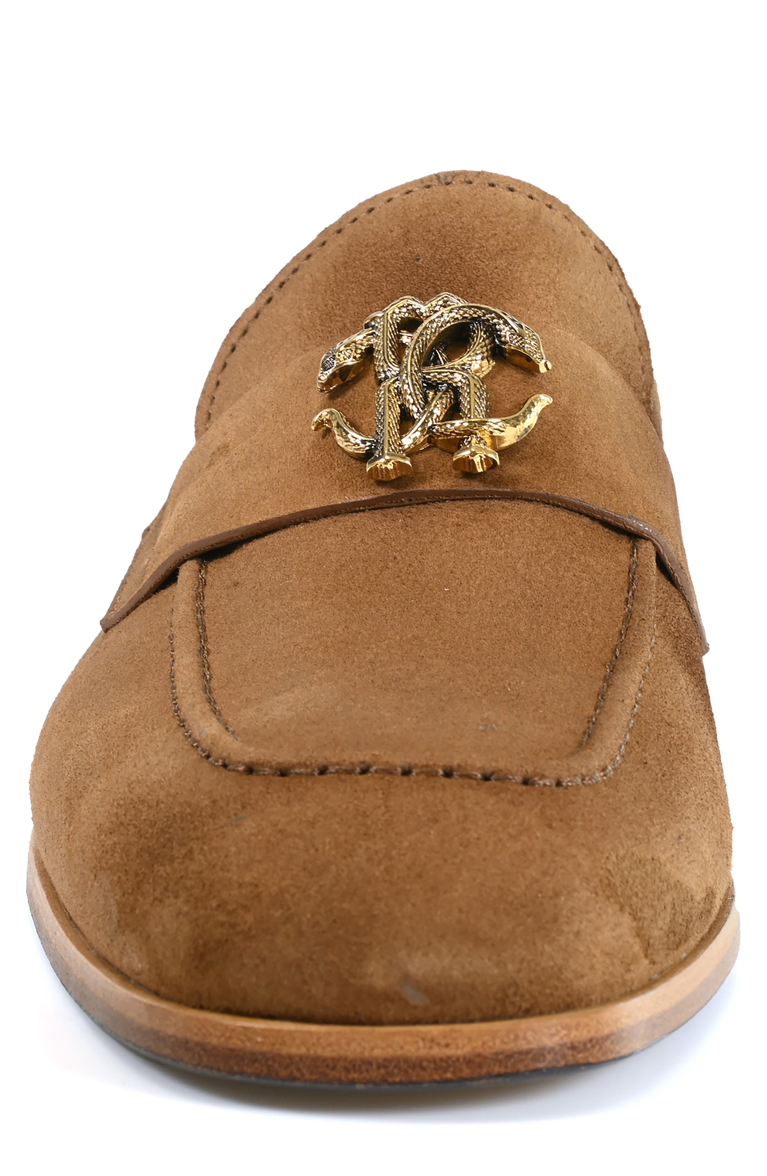 Roberto Cavalli Suede Loafer, Alternate, color, 